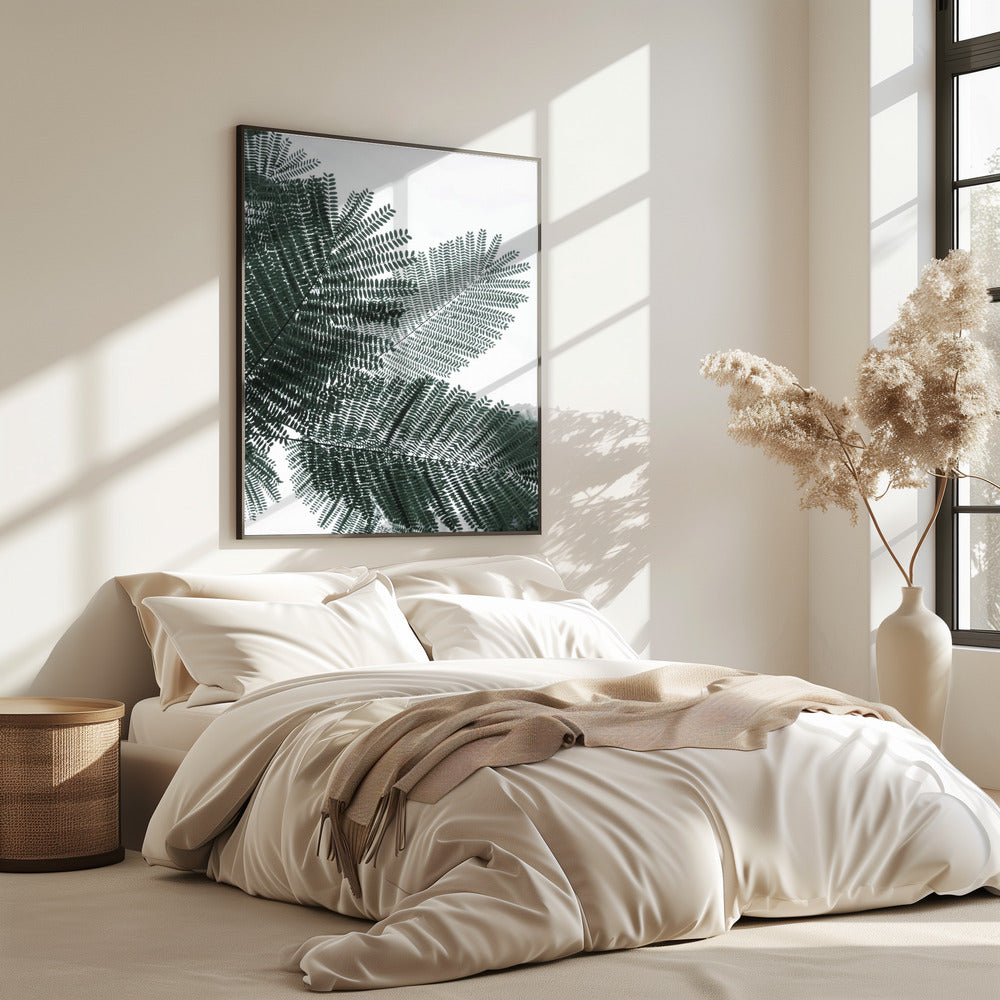 Fern Whispering | Poster