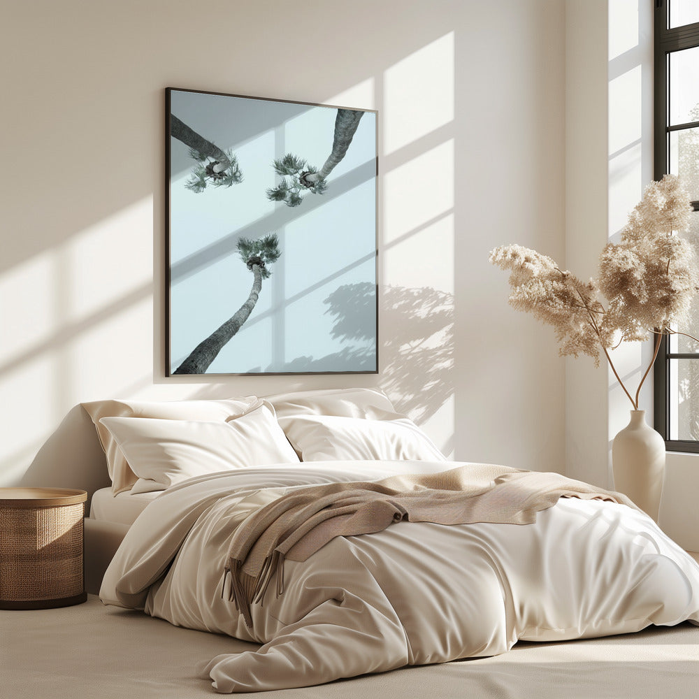 Skyward Palms | Poster