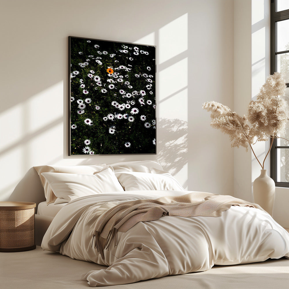 Unique Blossom | Poster
