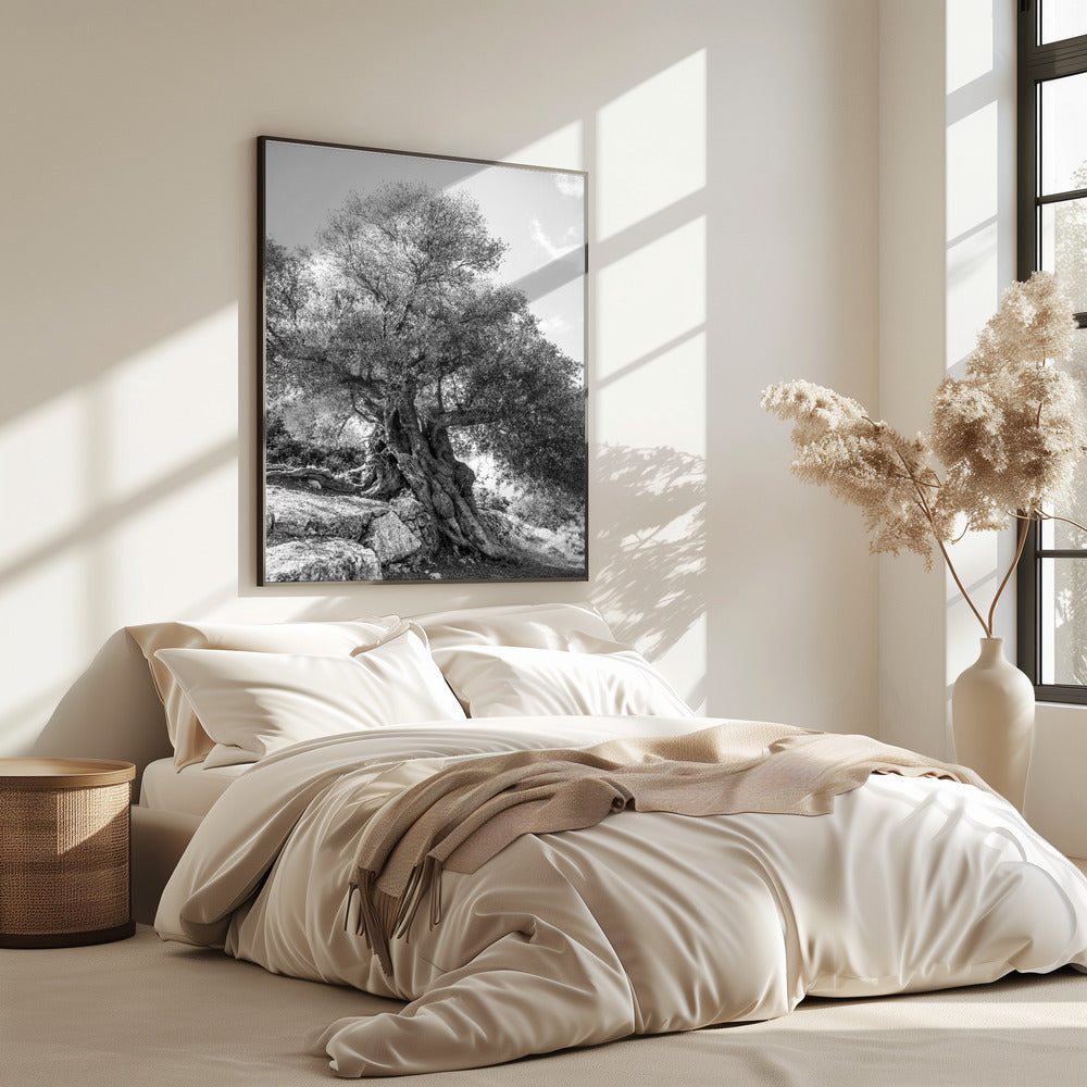 Oude Schildwacht | Poster