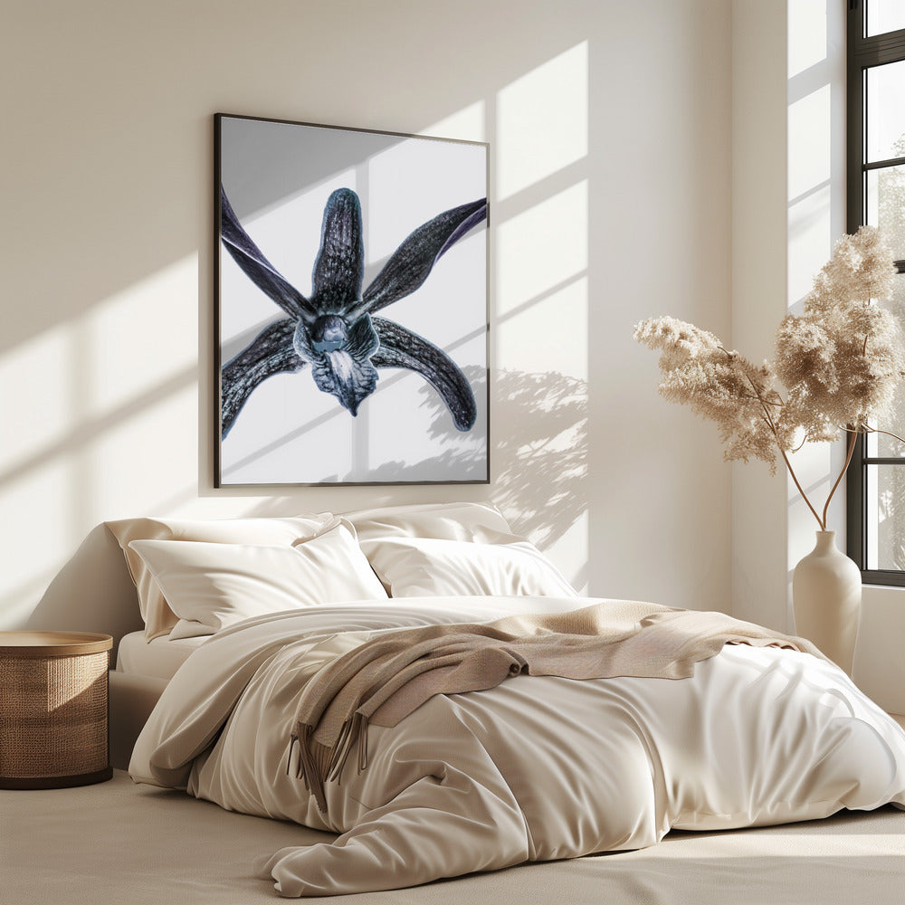 Midnight Blossom | Poster