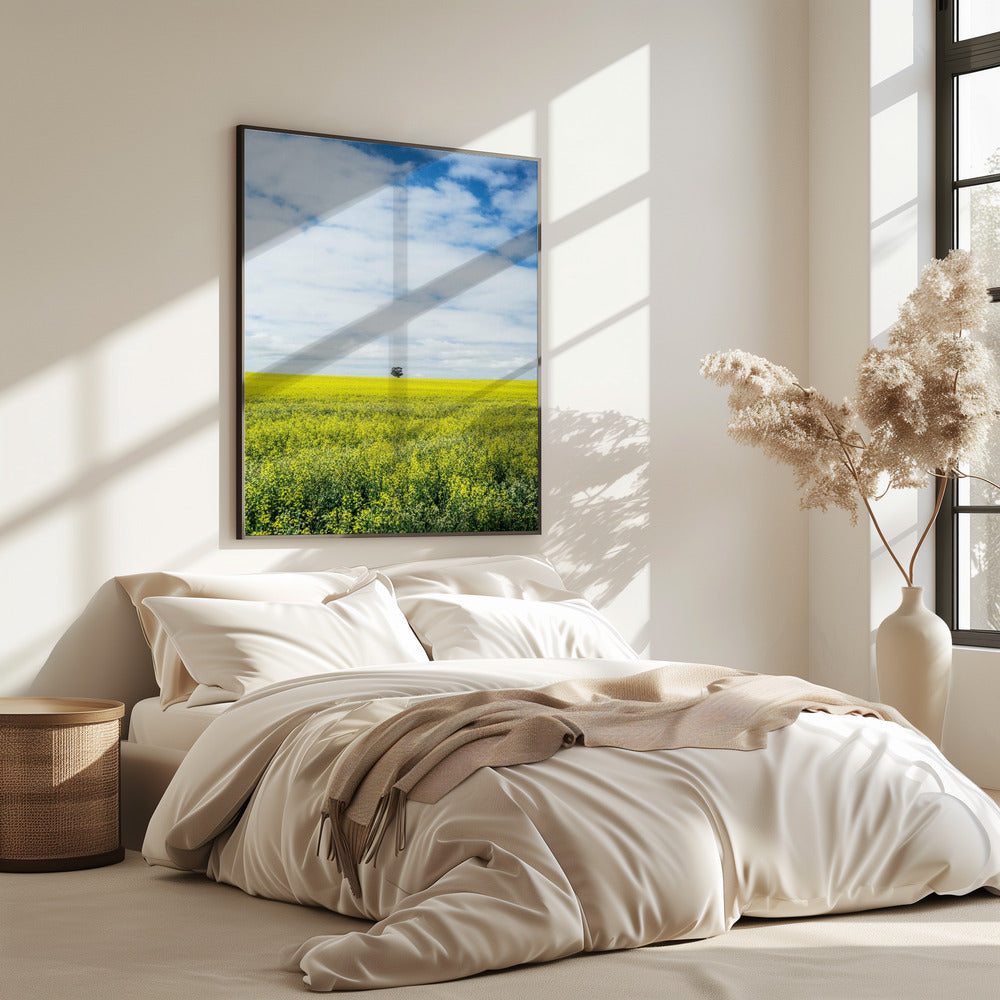 Eenzame boomhorizon | Poster