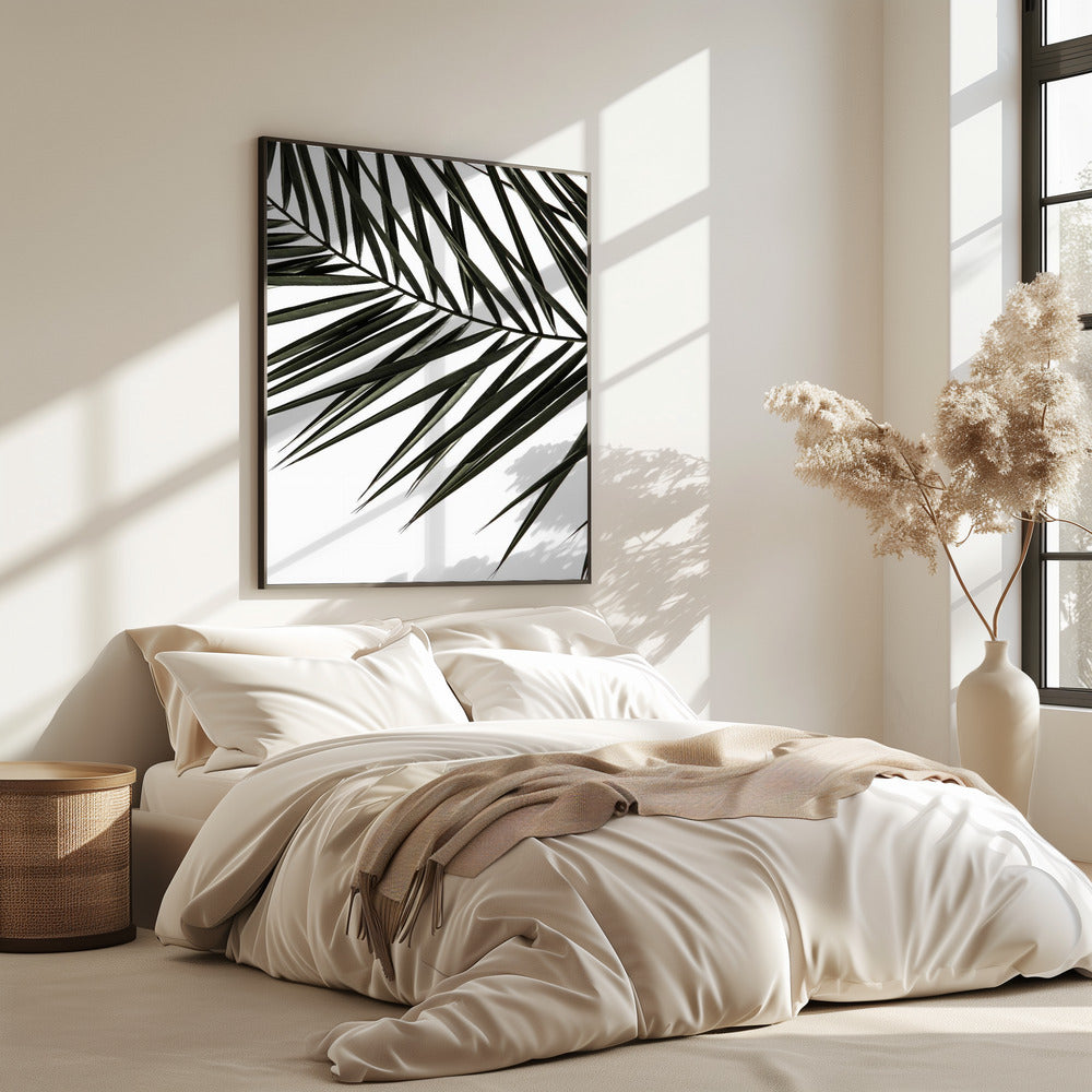 Frond Shadows | Poster