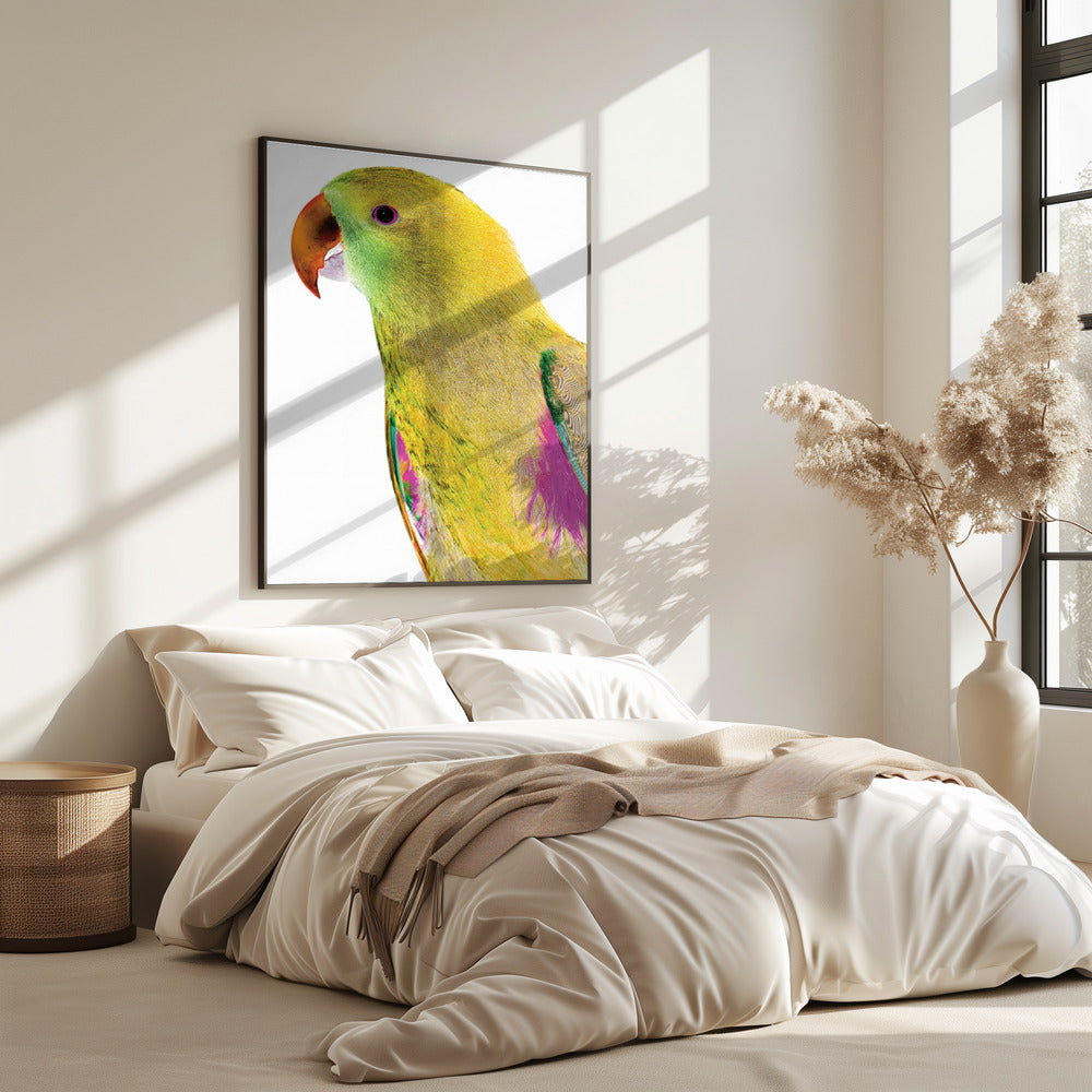 Vibrant Parrot Profile | Poster
