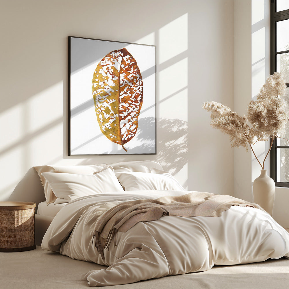 Faded Foliage Lace | Poster