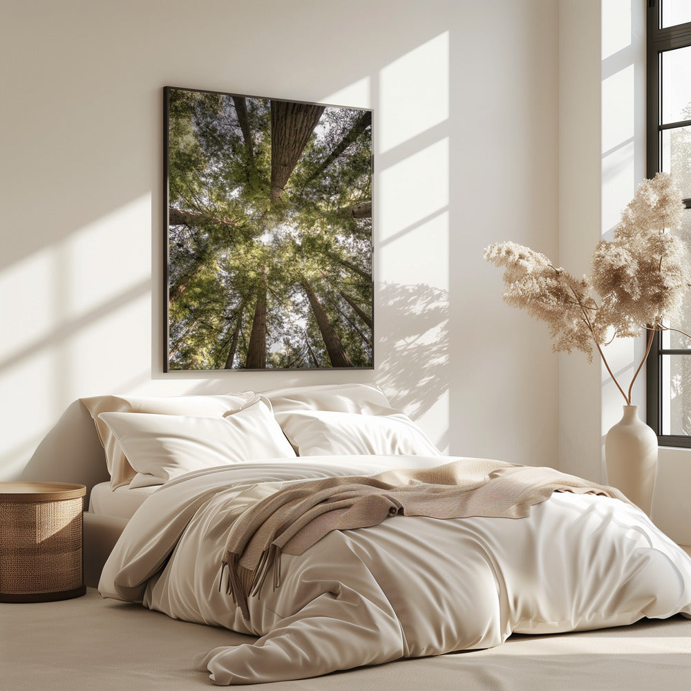 Schoonheid van de natuur | Poster