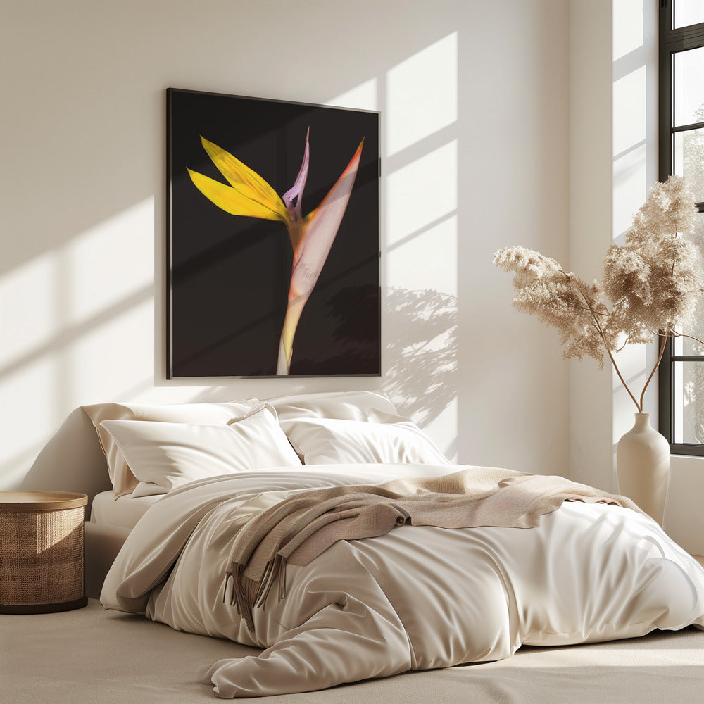 Exotic Blossom Glow | Poster