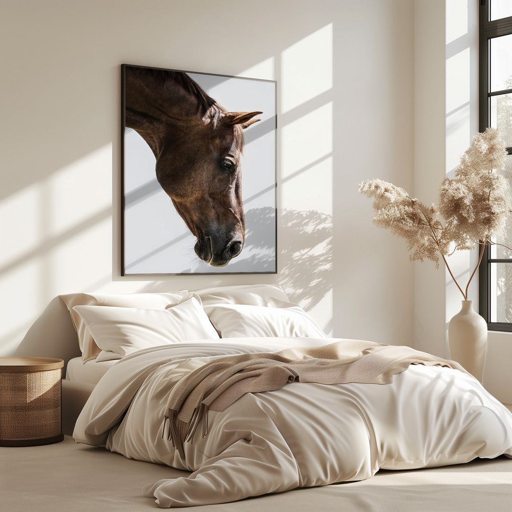 Portret van een paardenkop | Poster