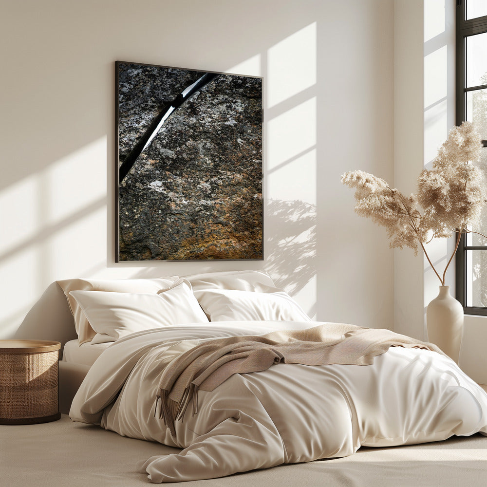Gebarsten aardader | Poster