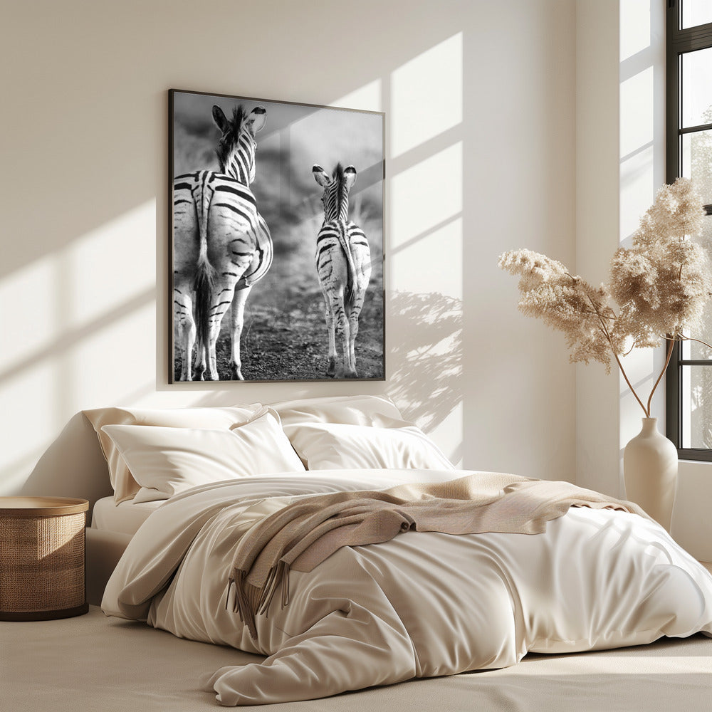 Striped Horse Back Side | Poster