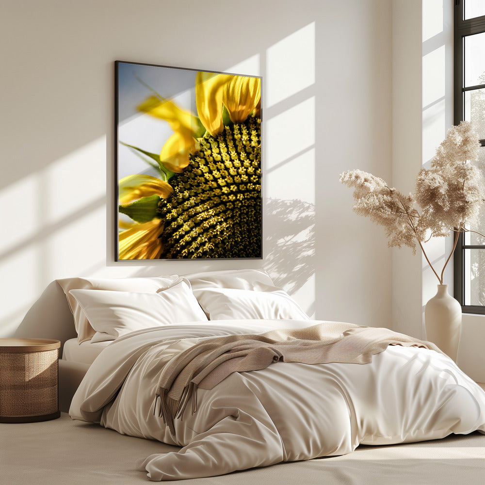 Zonnebloem close-up | Poster