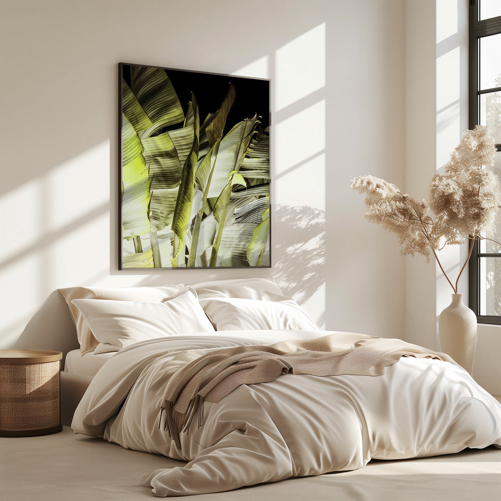 Bananenbladeren in zacht licht | Poster