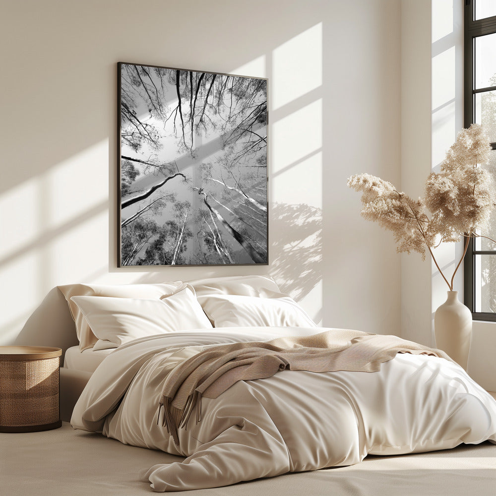 Skyward Symphony | Poster