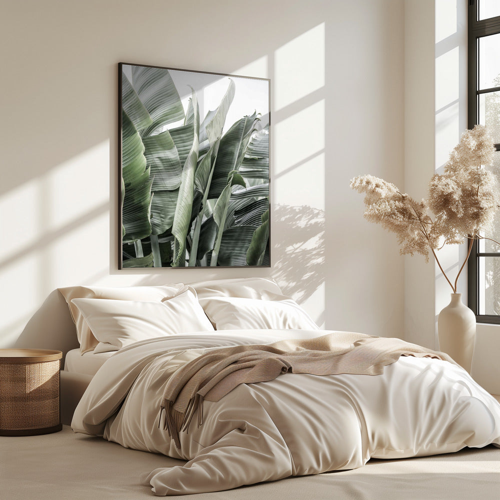 Banana Leaves In Soft Lighting | Poster