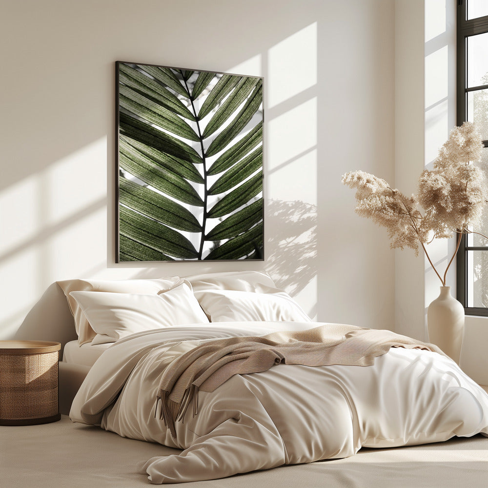 Palmbladeren 24 | Poster
