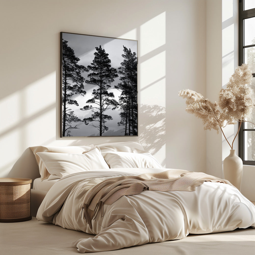 Swedish Trees | Poster