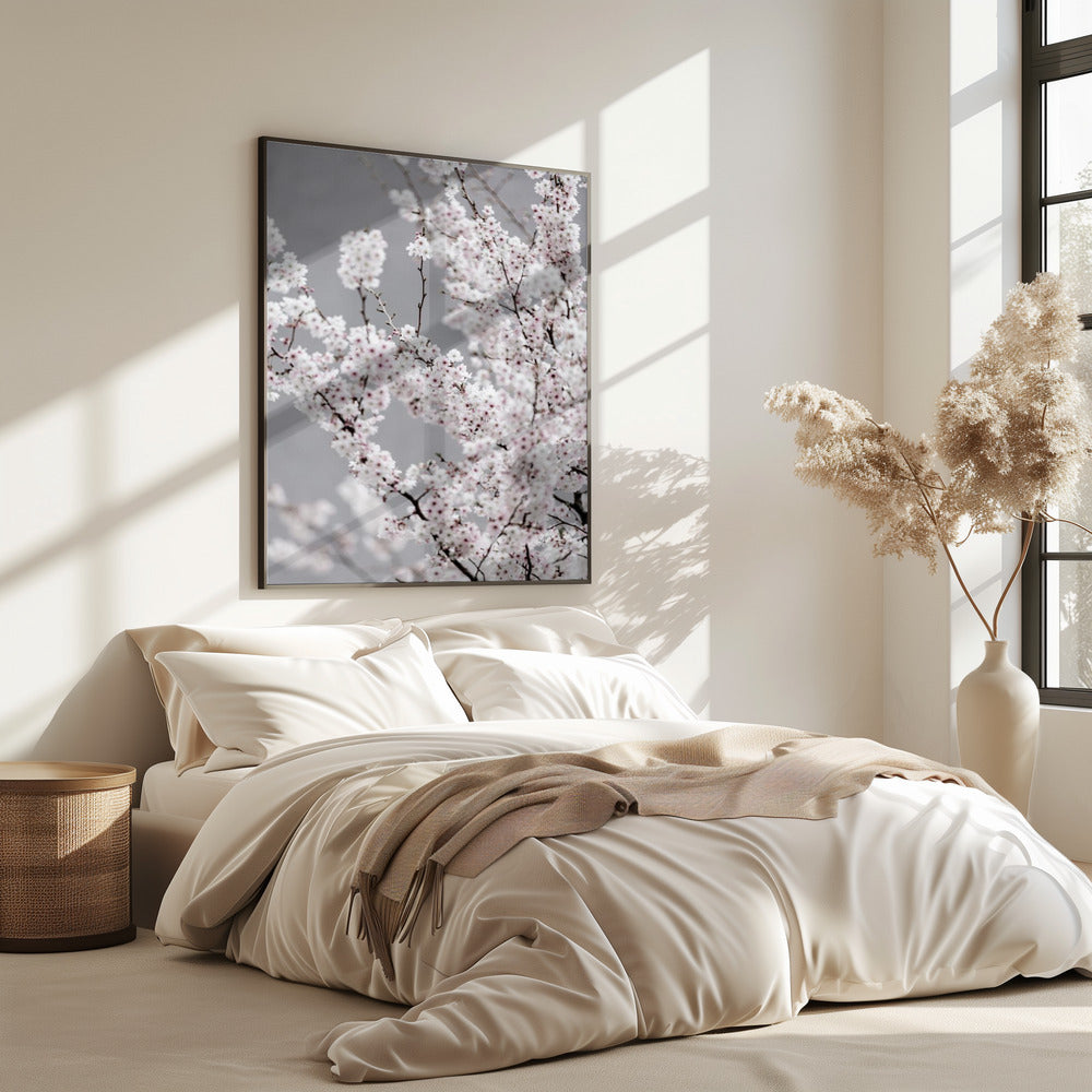 Colorful Spring 6 | Poster