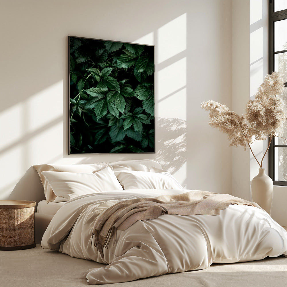 Dark Leaves 13 | Poster