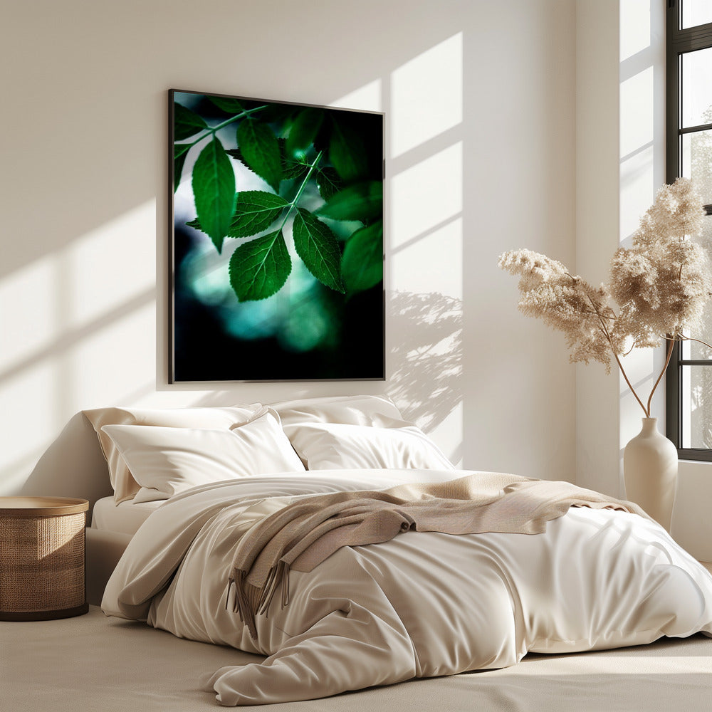 Dark Leaves 14 | Poster