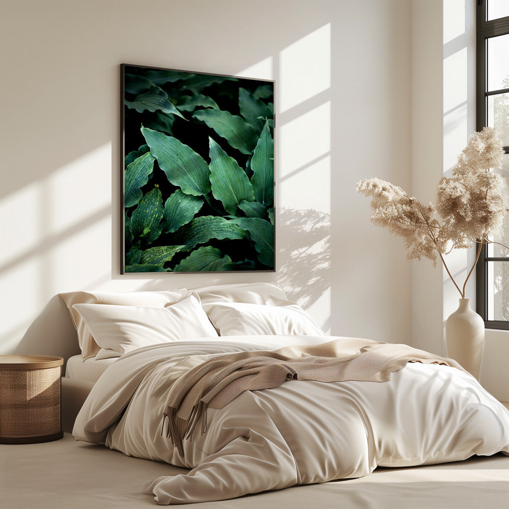 Dark Leaves 15 | Poster
