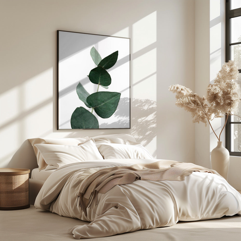 Eucalyptus 4 A1 | Poster