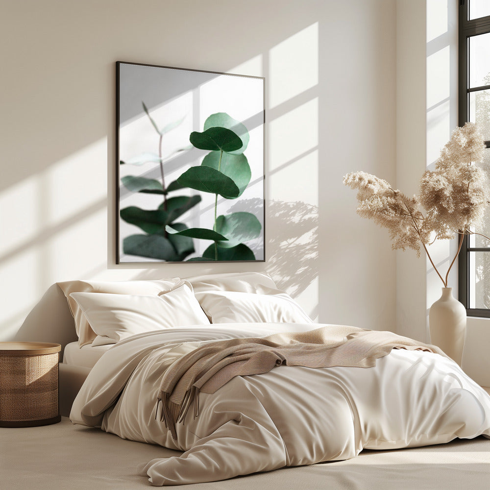Eucalyptus 5 A1 | Poster