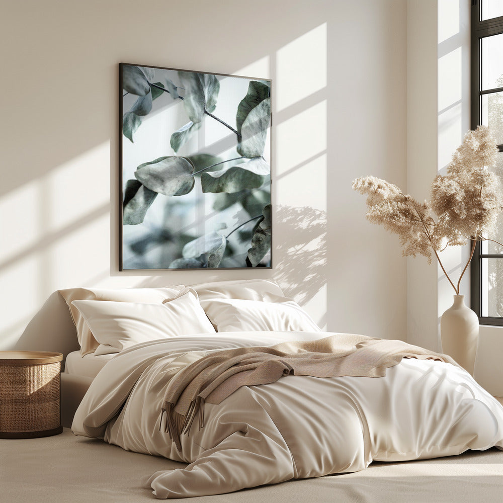 Eucalyptus 8 | Poster