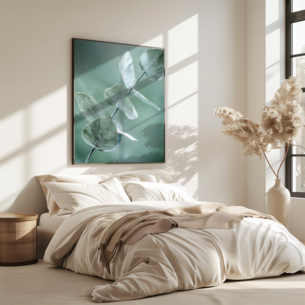 Eucalyptus 9 | Poster
