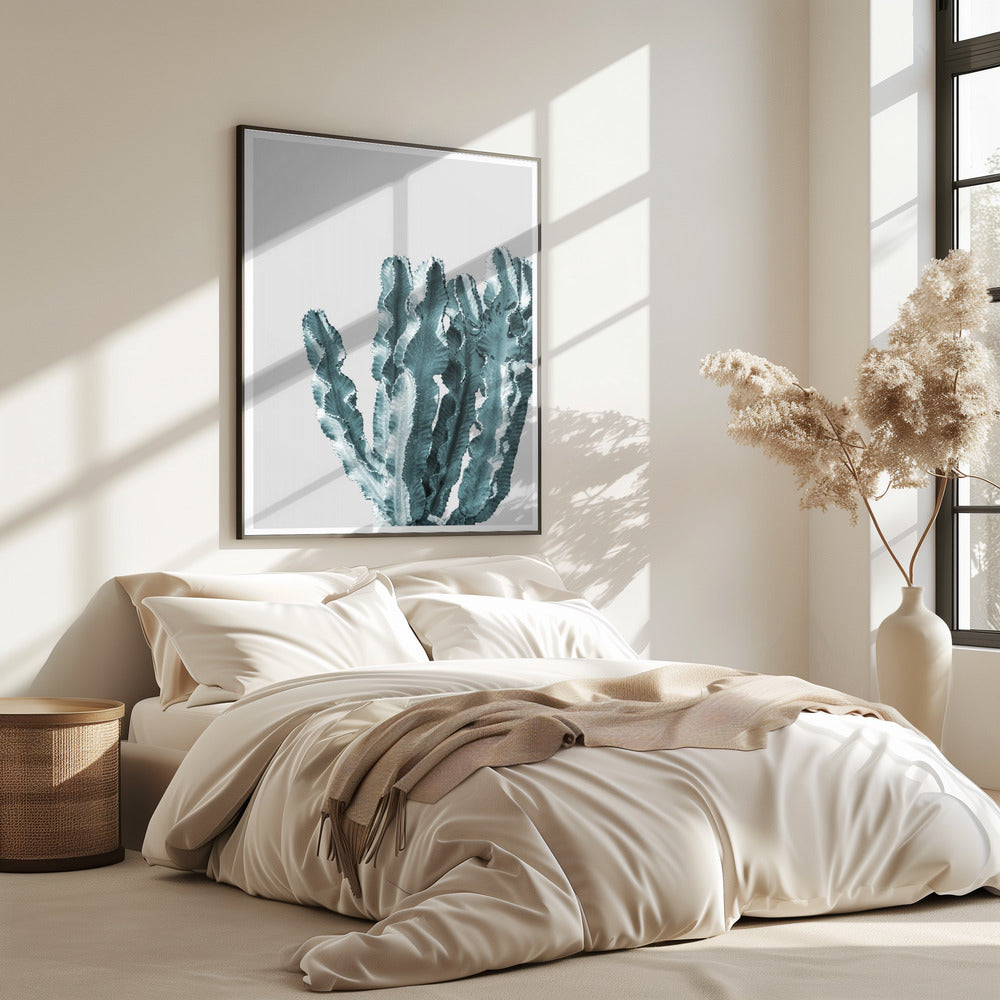 Cactus Elegantie | Poster