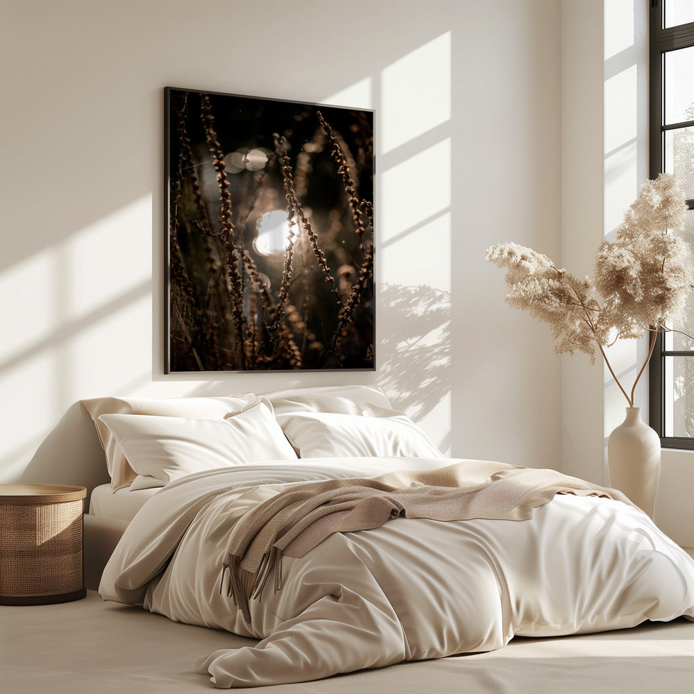 Autumn Lights 2 | Poster