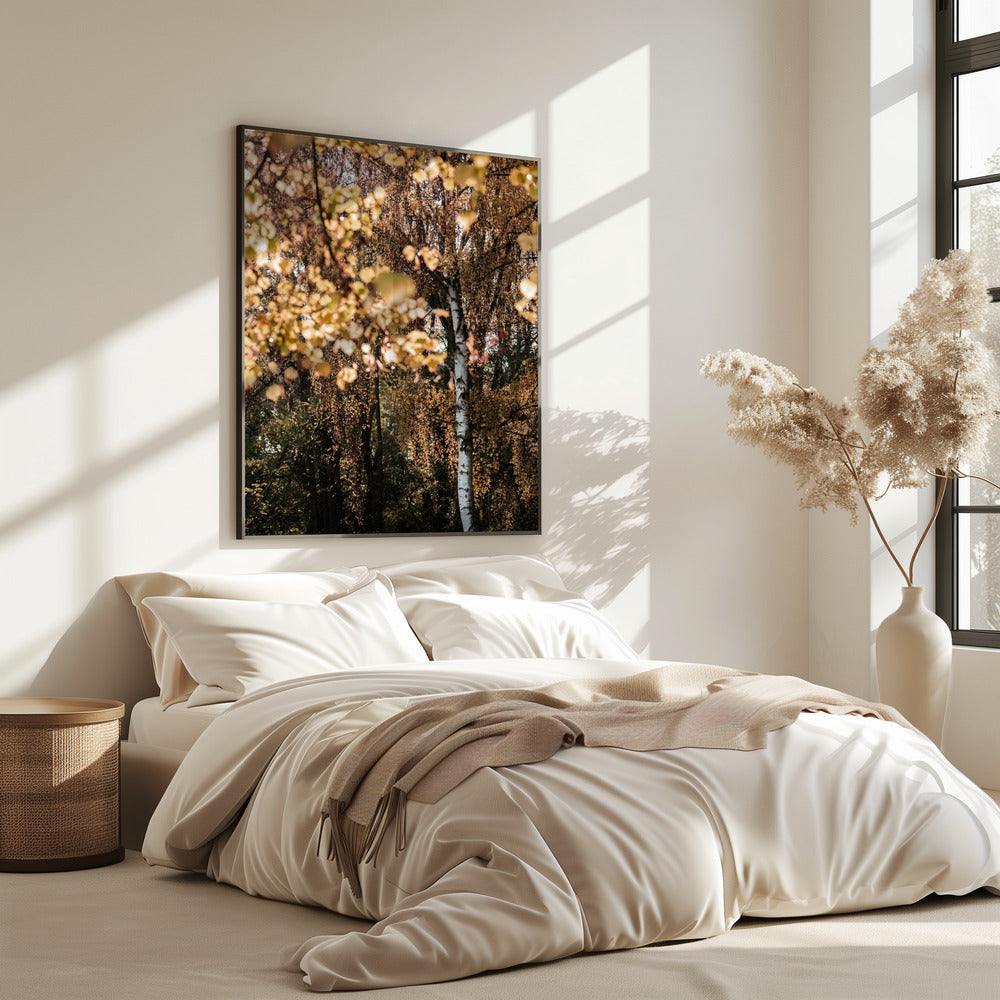 Herfstberk | Poster