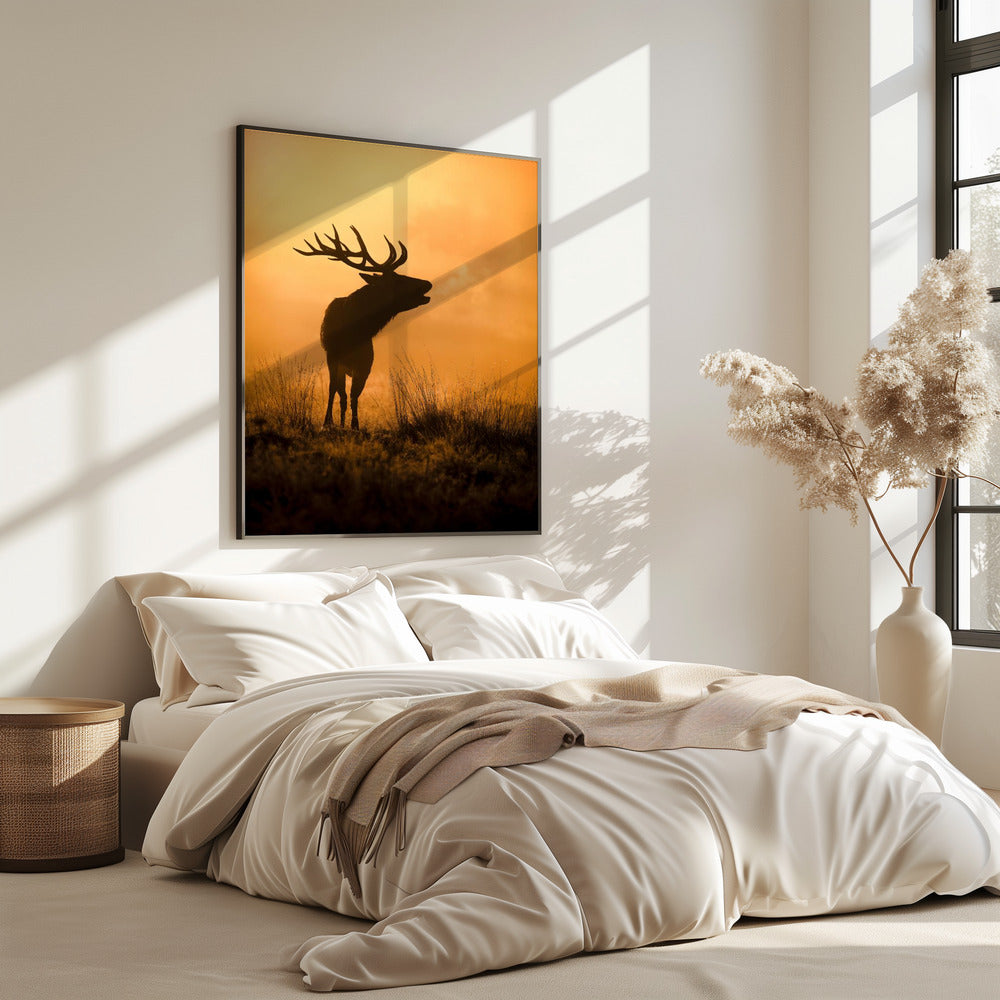 Morning call | Poster