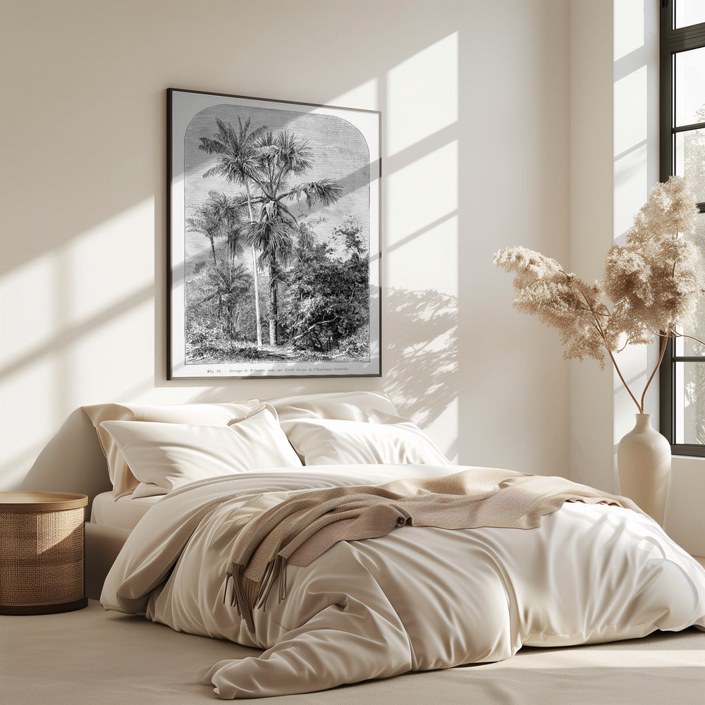 Vintage palmboom tekening IV | Poster