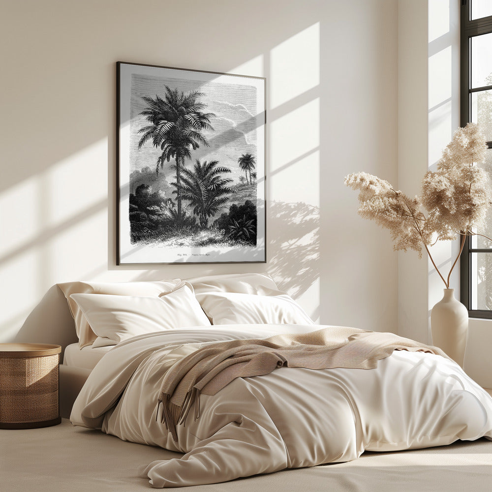 Vintage palmboom tekening V | Poster