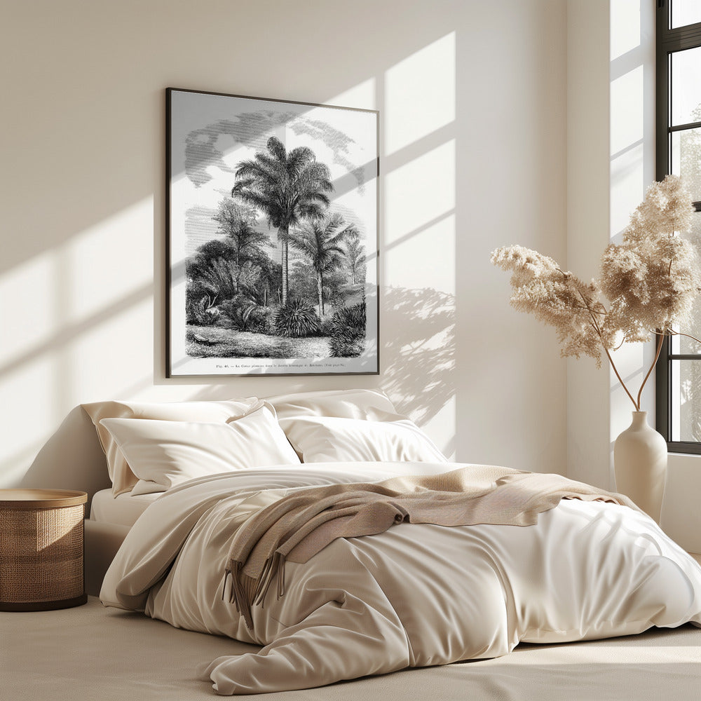 Vintage palmboom tekening VI | Poster