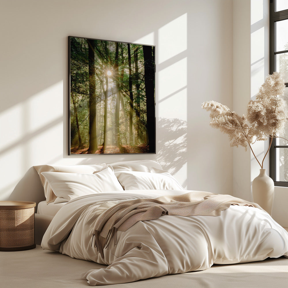 Zonnestralen door het bos | Poster