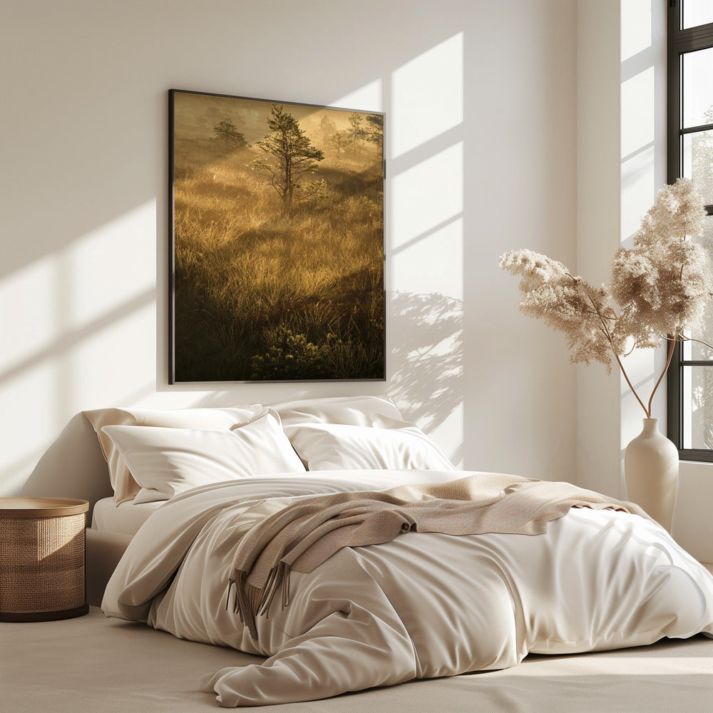 20220809 Dsf8033 | Poster