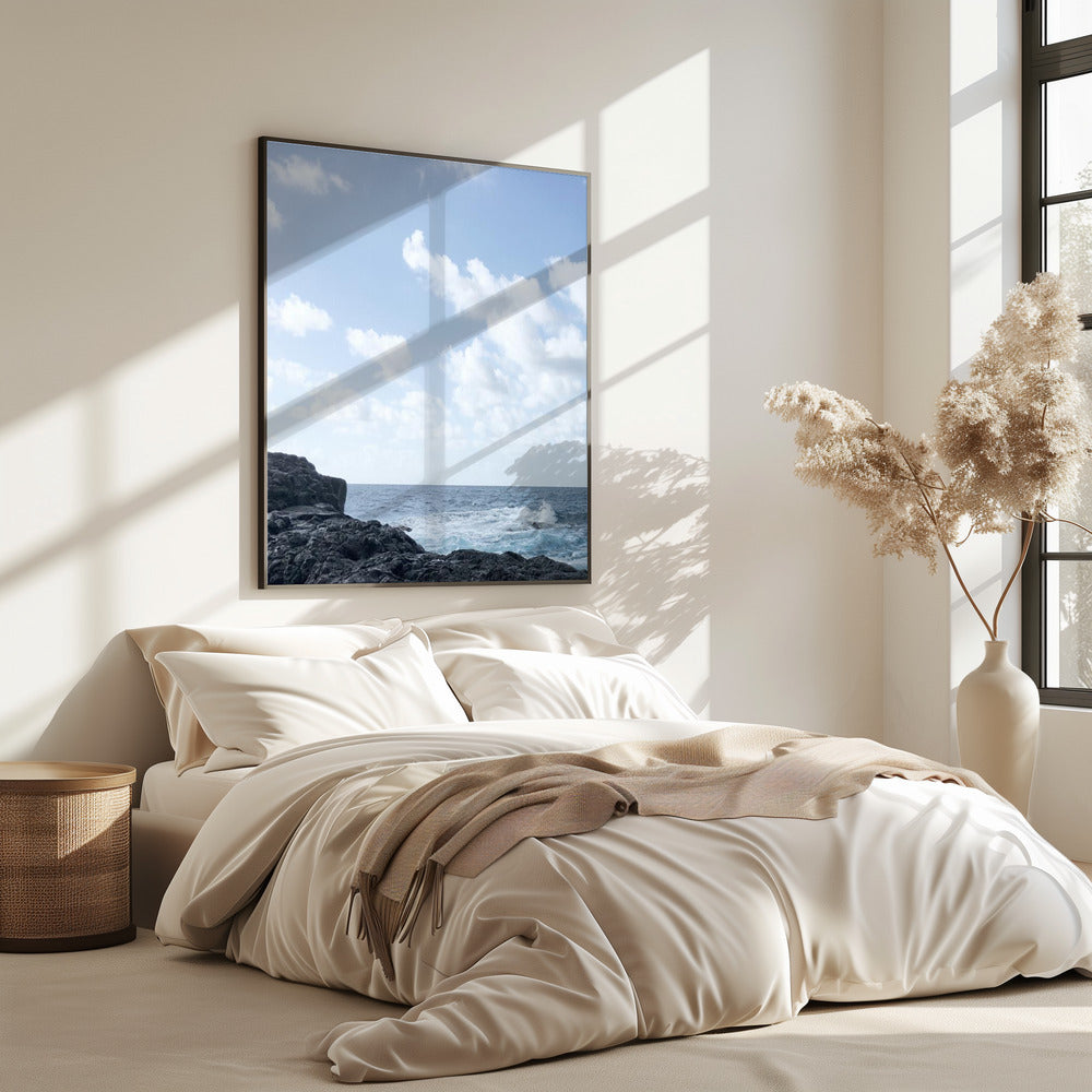 Kustleven I | Poster