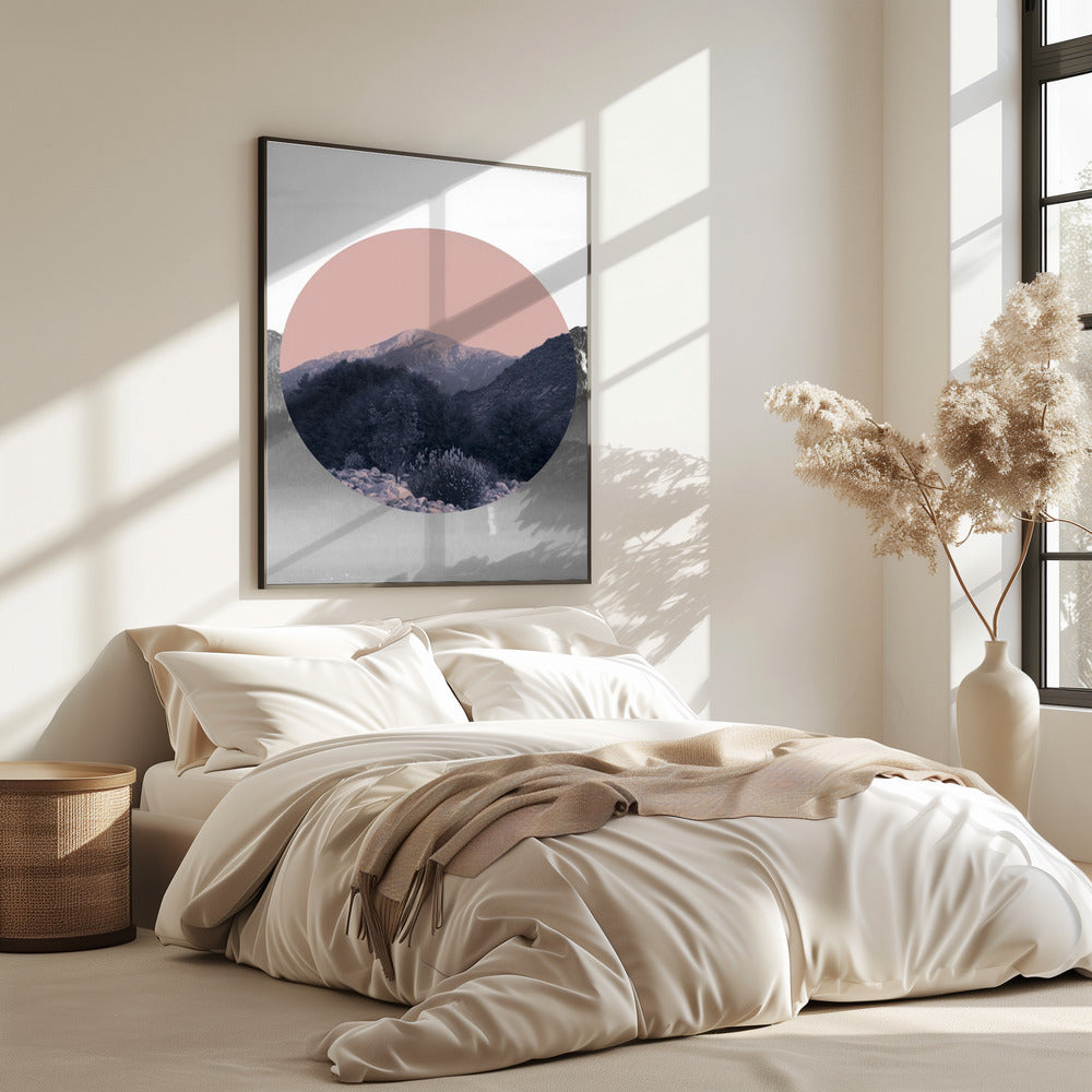 Vormen in de natuur II | Poster