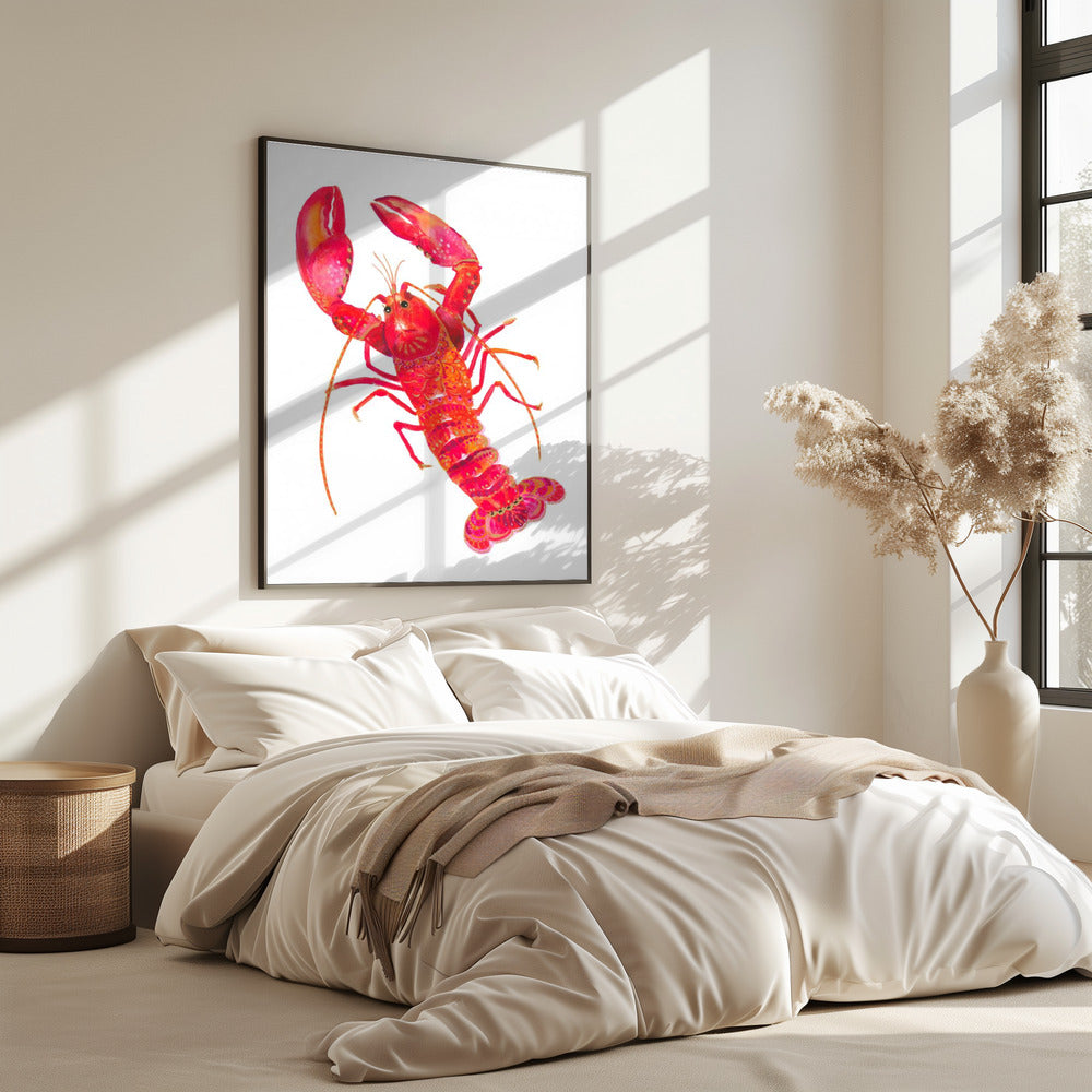Kreeft met patroon | Poster