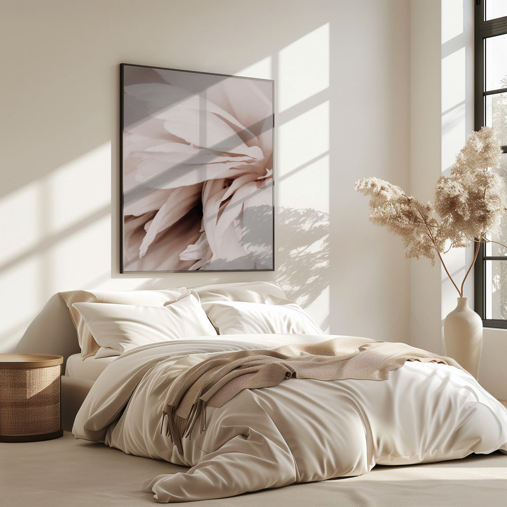 Peony | Poster
