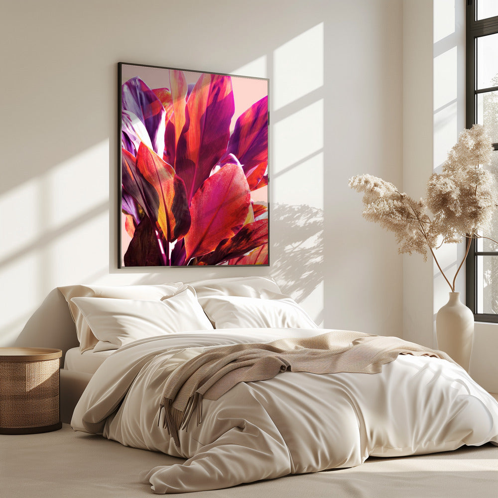 Fuchsia Bladeren I | Poster