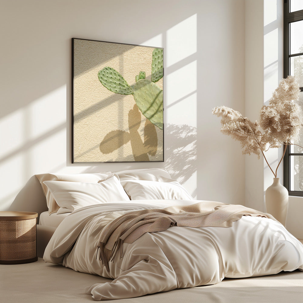 Cactussen Schaduwspel | Poster
