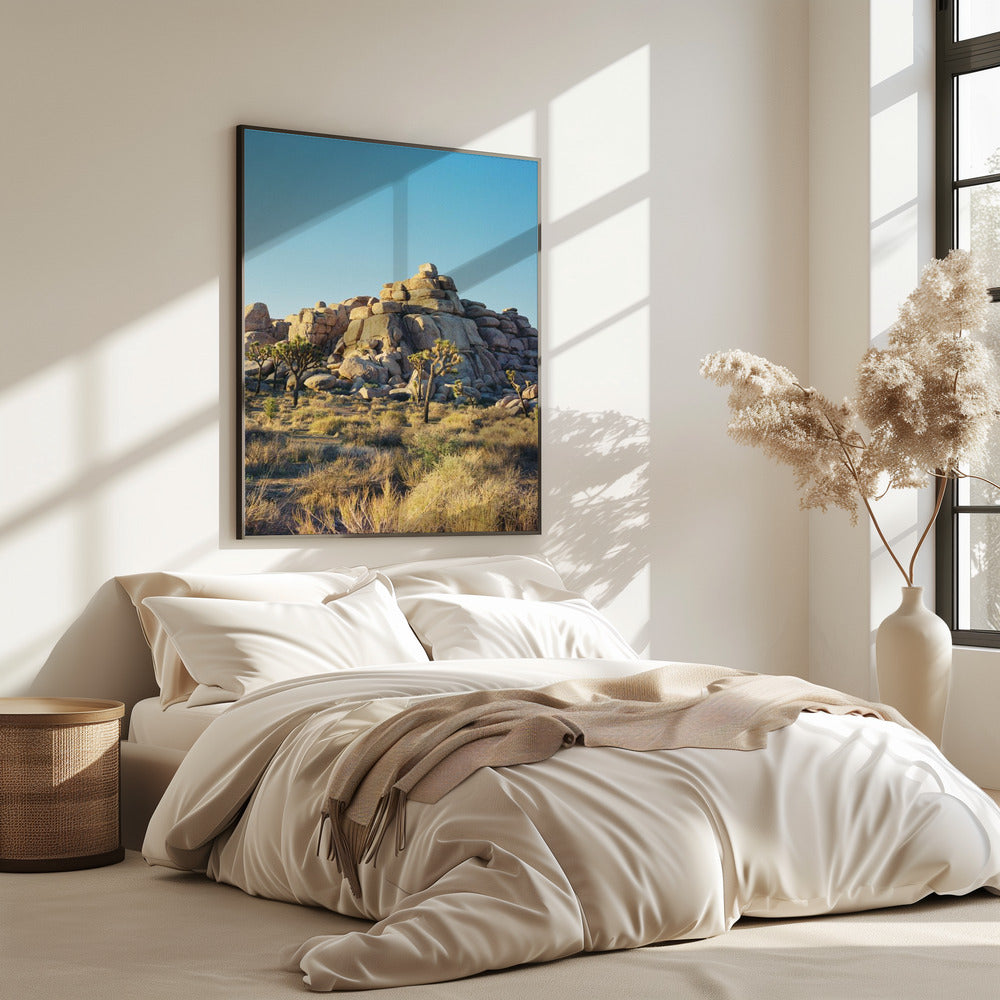 Zonsondergang in Joshua Tree | Poster