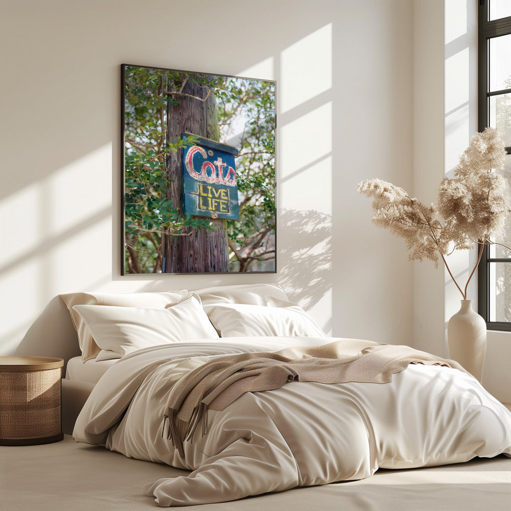 Katten uit New Orleans | Poster