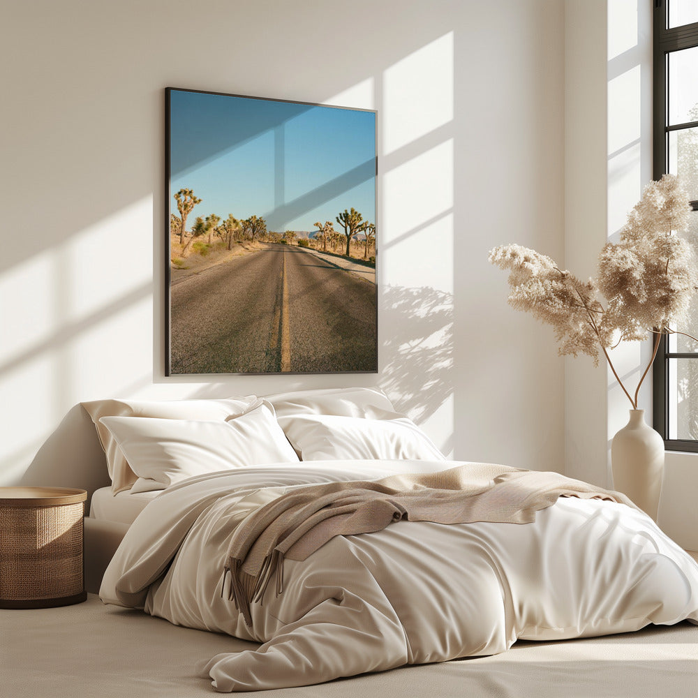 Joshua Tree Road II | Poster