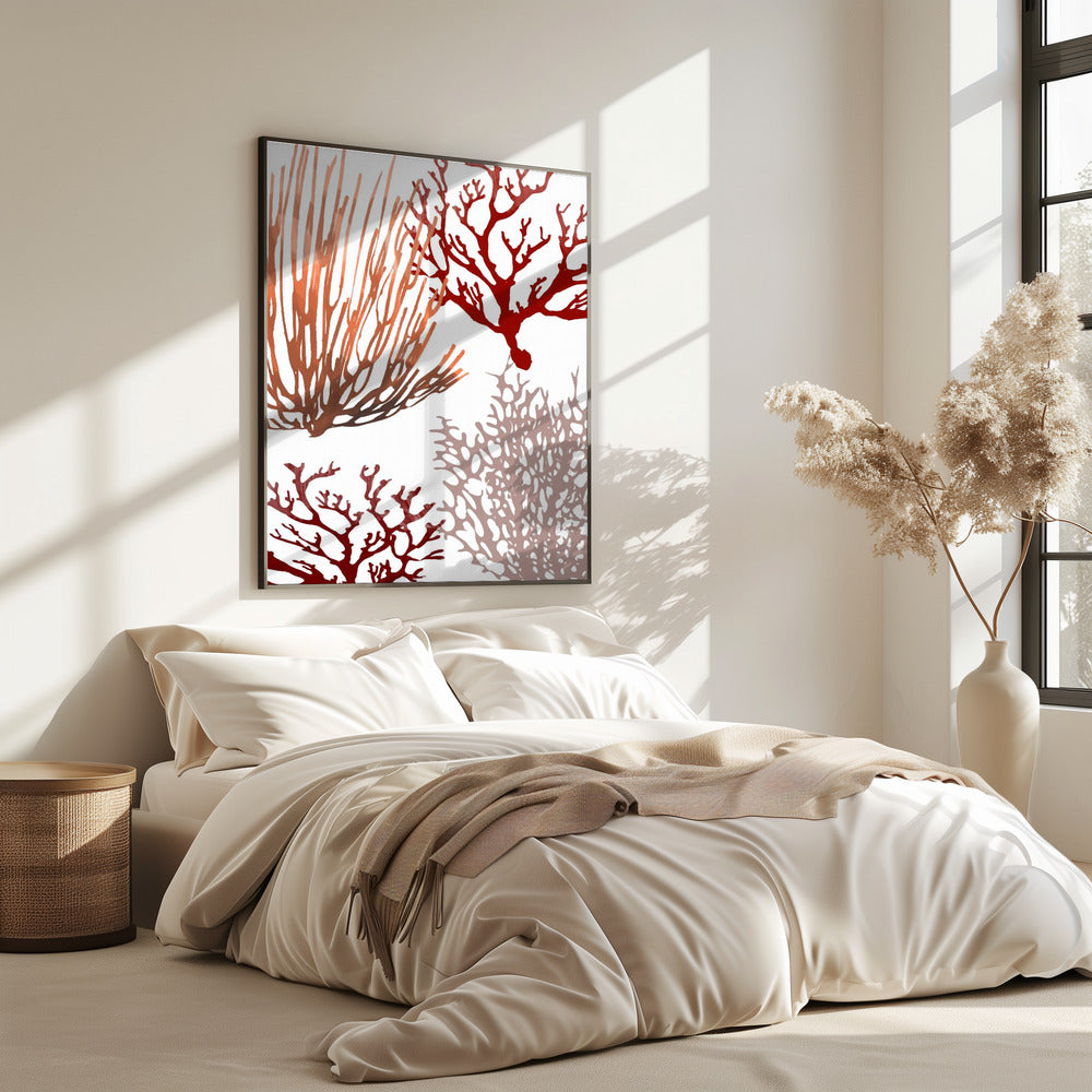 Roze en rood zeekoraal | Poster