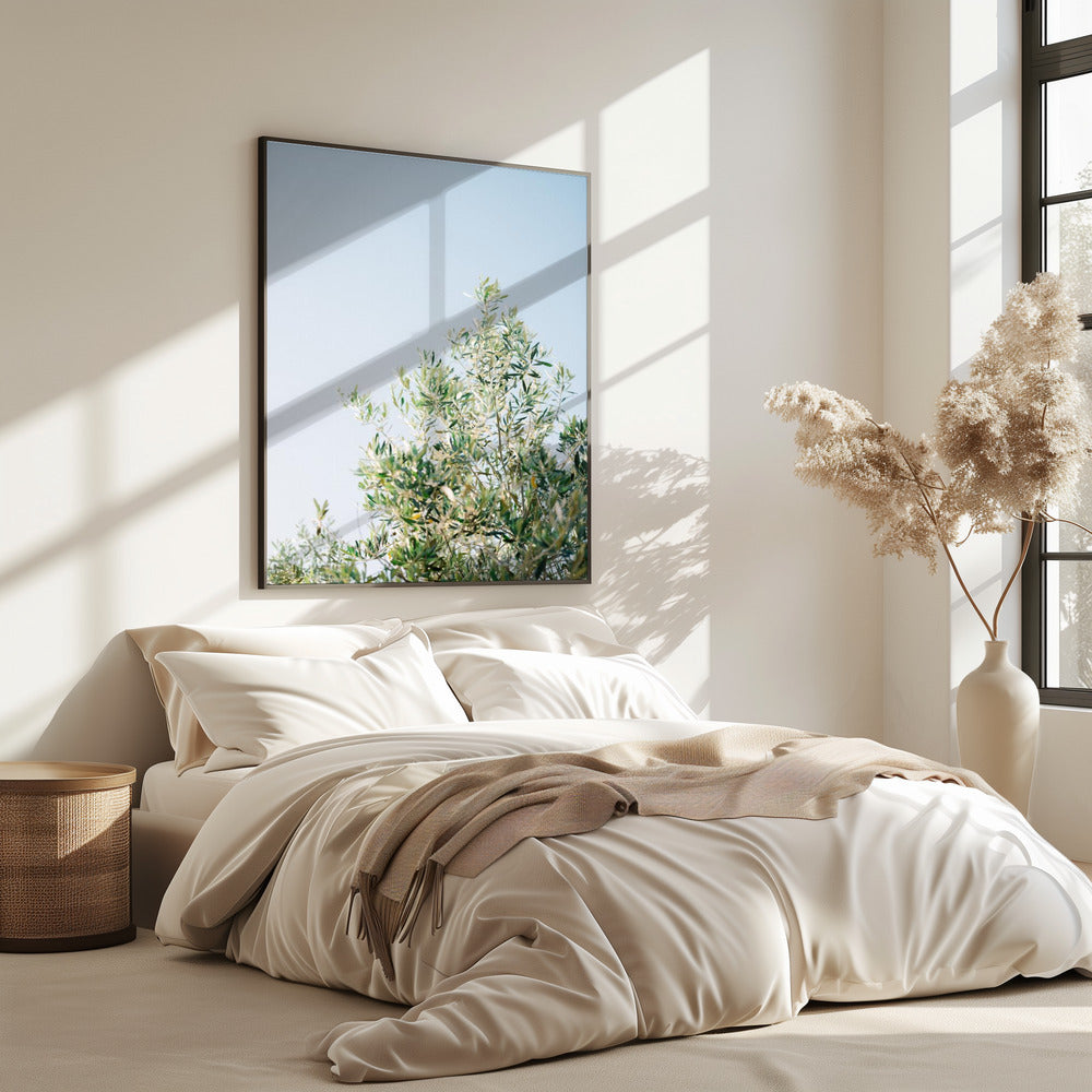 Olijven in Ostuni | Reisfotografie Italië | Poster