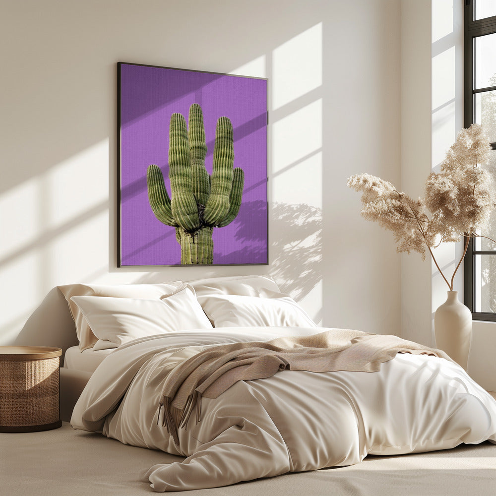 Paarse Cactus | Poster