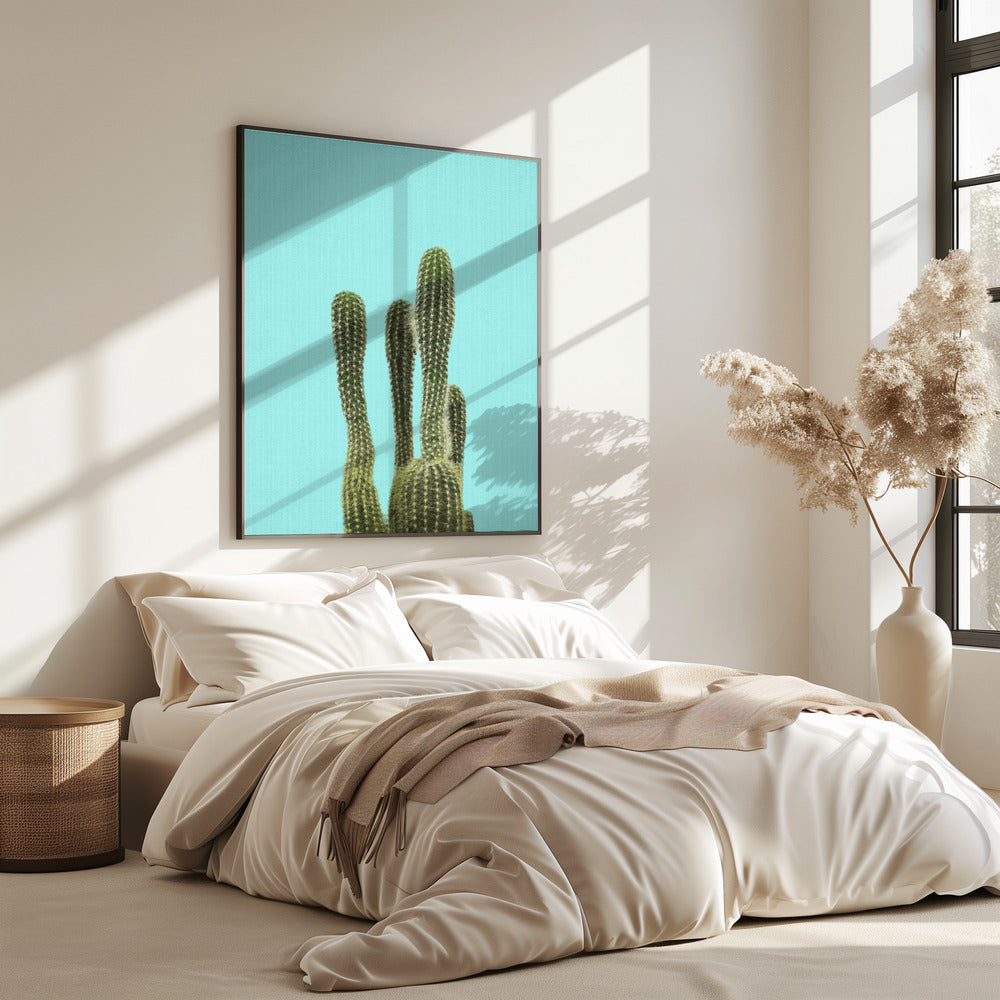 Turkooizen Cactus | Poster